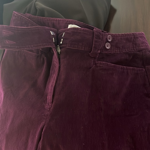Super Cute Corduroy Pants by Talbots - Picture 8 of 12